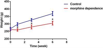 The Pathology of Morphine-Inhibited Nerve Repair and Morphine-Induced Nerve Damage Is Mediated via Endoplasmic Reticulum Stress